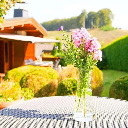 Chalet Holzhaus Hubertus Am Hennesee