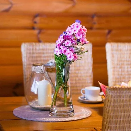 Chalet Holzhaus Hubertus Am Hennesee